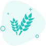 在線英語學(xué)習(xí)系統(tǒng)